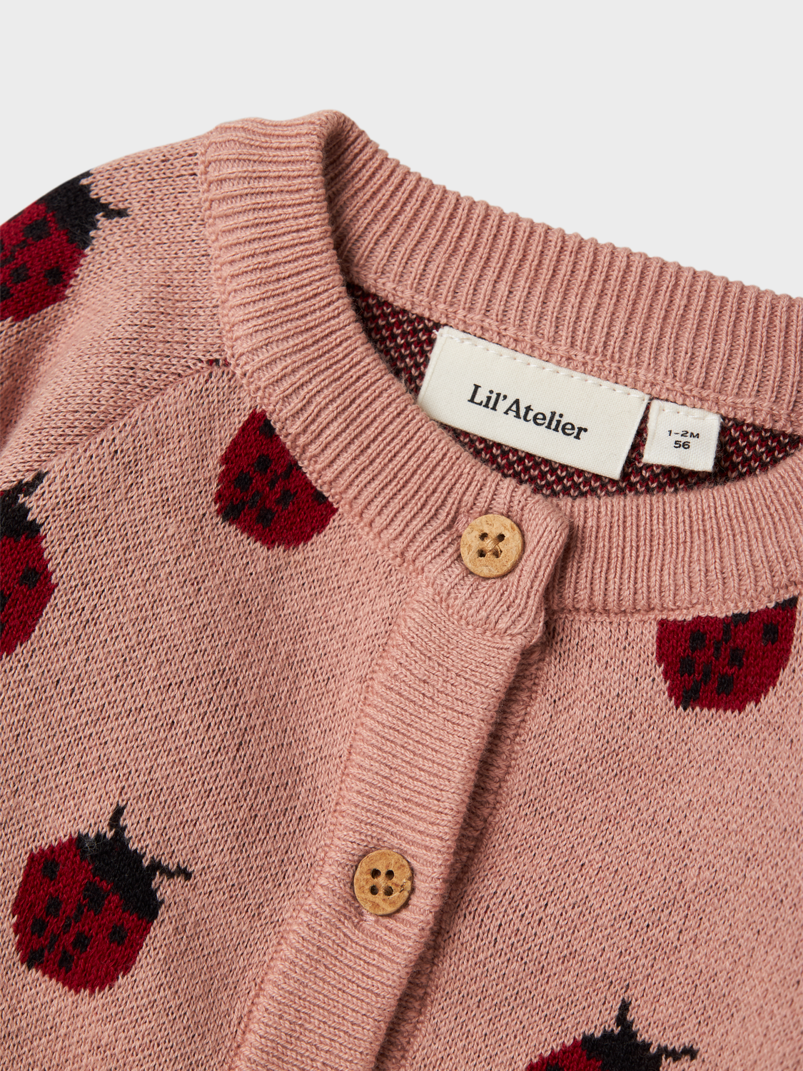 model_shot-front_full